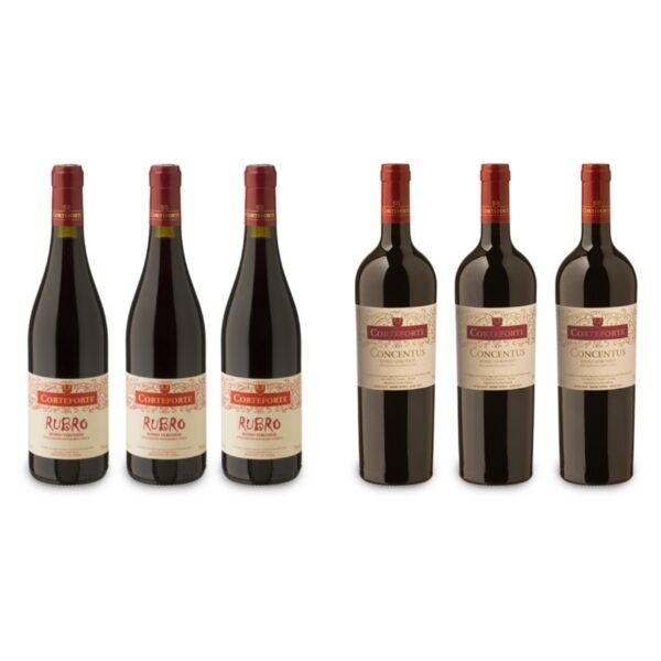 Offerta solo online: <br />3 Rubro e 3 Concentus 2014