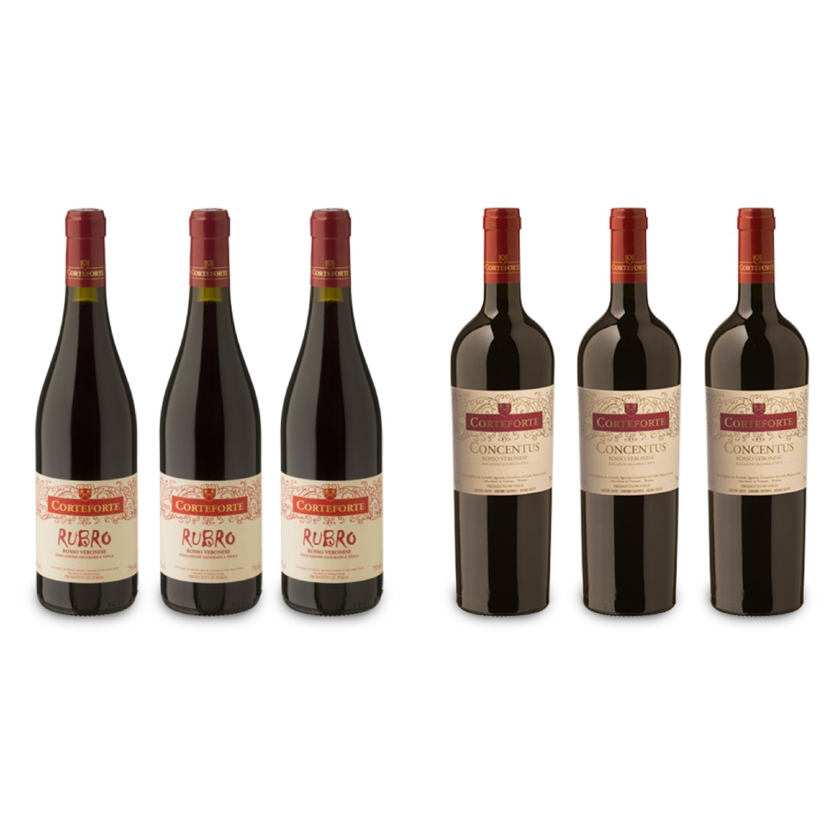 Offerta solo online: <br />3 Rubro e 3 Concentus 2014