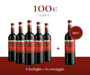 Pack 6 bottiglie - Valpolicella Ripasso Classico Superiore <br/>DOP – BIO <font color="#8B0202">"Podere Bertarole"</font>