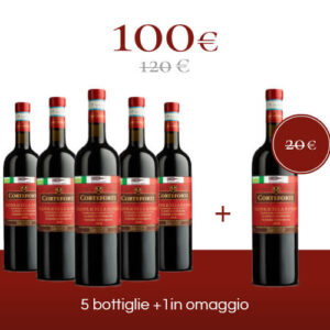 Pack 6 bottiglie - Valpolicella Ripasso Classico Superiore <br/>DOP – BIO <font color="#8B0202">"Podere Bertarole"</font>