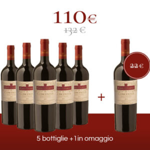 Pack 6 bottiglie - Rosso Veronese<br/>IGT <font color="#8B0202">"Concentus"</font>