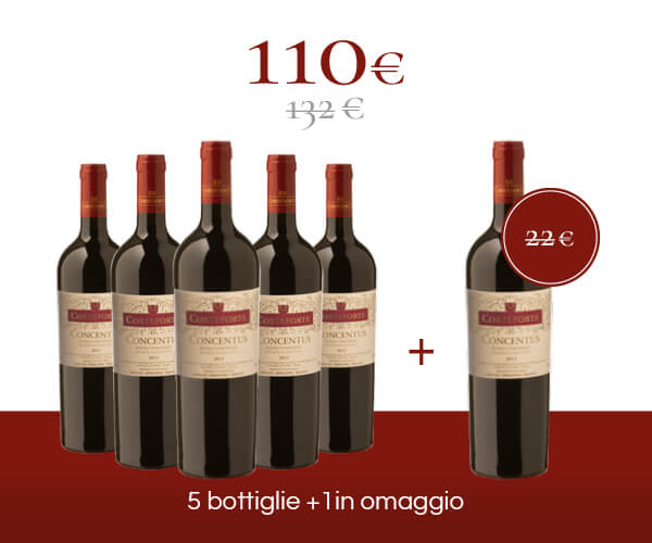 Pack 6 bottiglie - Rosso Veronese<br/>IGT <font color="#8B0202">"Concentus"</font>