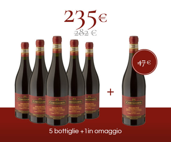 Pack 6 bottiglie - Amarone della Valpolicella Classico DOP <br/> <font color="#8B0202">"Terre di San Zeno"</font>