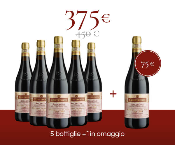 Pack 6 bottiglie - Amarone della Valpolicella Classico DOP <br/> <font color="#8B0202">"XXX Anni in 2 Secoli 2013"</font>